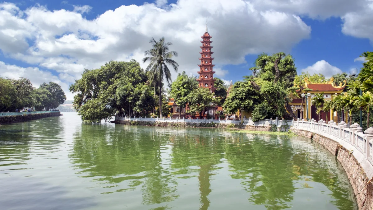Vietgoing Ocp2105269661